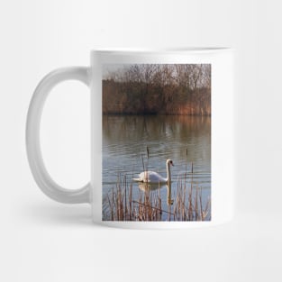 Swan on a Lake Mug
